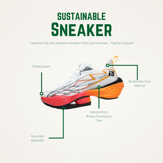 “Laced for Life: Why Sneakers Are More Than Just Footwear – They’re a Culture”