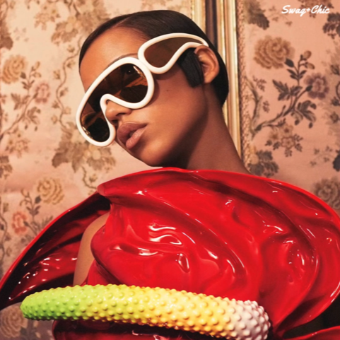 Oversized Sunglasses: Bold Protection with Effortless Elegance